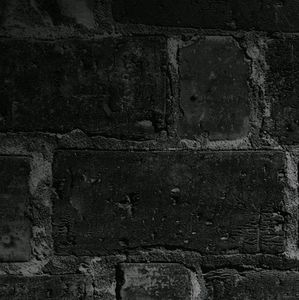 Meet your Posher, Ernest